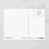 Il Duomo | Pisa Briefkaart (Achterkant)