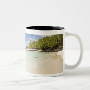 Ile Aux Cerf, meest populaire dagtrip voor 2 Tweekleurige Koffiemok