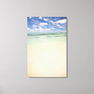 Ile Aux Cerf, meest populaire dagtrip voor Canvas Afdruk
