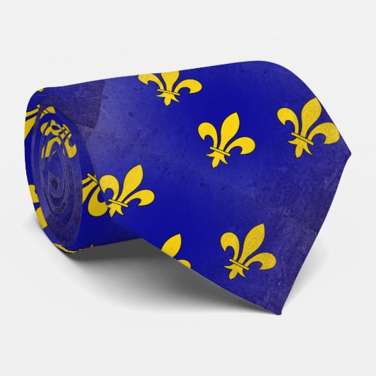 Ile-de-France Stropdas (Opgerold)