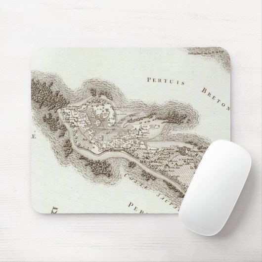 Ile de Re Muismat (Met muis)