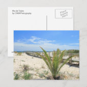 Ilha de Tavira Briefkaart (Voorkant / Achterkant)
