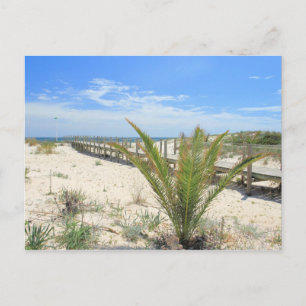 Ilha de Tavira Briefkaart