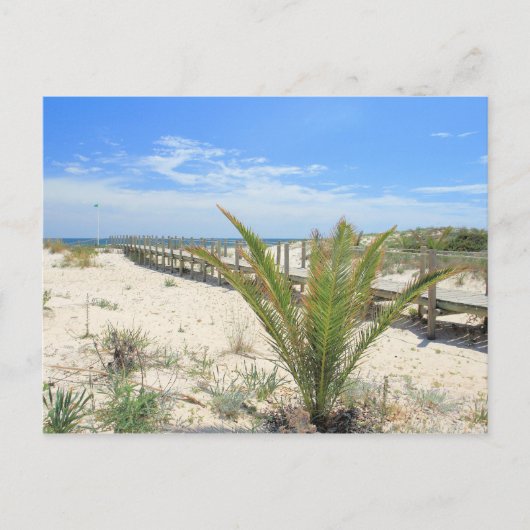 Ilha de Tavira Briefkaart (Voorkant)