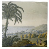 Ilheus (kleurgraving) tegeltje (Voorkant)