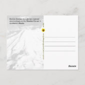 Iliamna vulkaan, Aleoetische Range, AK - briefkaar Briefkaart (Achterkant)