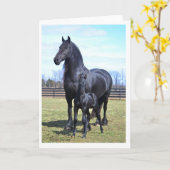 I'll Stand By You beroemd gemaakt door Happy Moede Kaart (Gele Bloem)