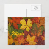 Illinois Autumn Leaves Briefkaart (Voorkant / Achterkant)