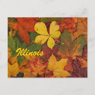 Illinois Autumn Leaves Briefkaart
