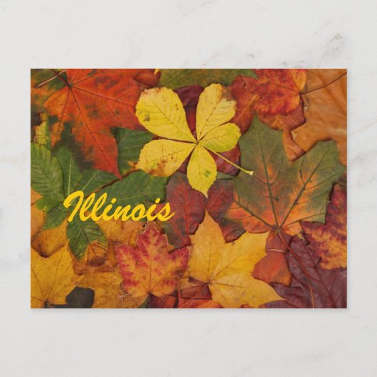 Illinois Autumn Leaves Briefkaart (Voorkant)