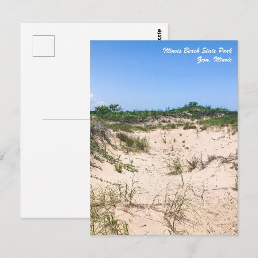Illinois Beach State Park Briefkaart (Voorkant / Achterkant)