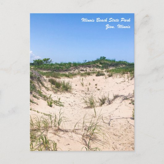 Illinois Beach State Park Briefkaart (Voorkant)
