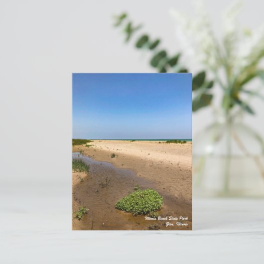 Illinois Beach State Park Briefkaart (Staand voorkant)