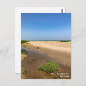 Illinois Beach State Park Briefkaart (Voorkant / Achterkant)