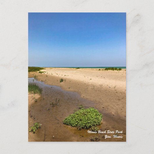Illinois Beach State Park Briefkaart (Voorkant)