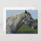 Illinois Beauty Briefkaart (Voorkant / Achterkant)