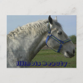 Illinois Beauty Briefkaart