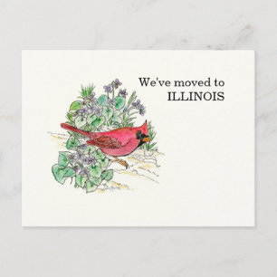 Illinois Briefkaart