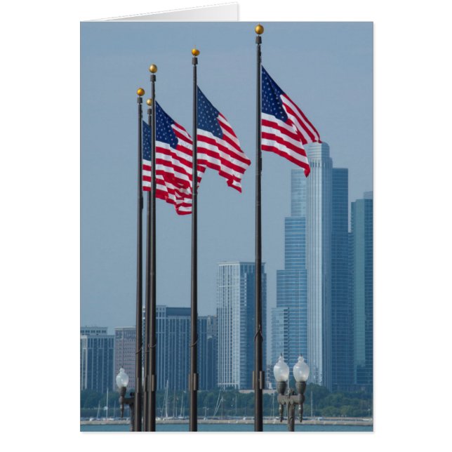 Illinois, Chicago. Navy Pier, vlaggen van de VS di (Voorkant)
