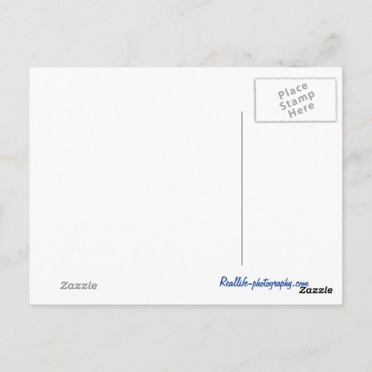 Illinois Countryside Briefkaart (Achterkant)