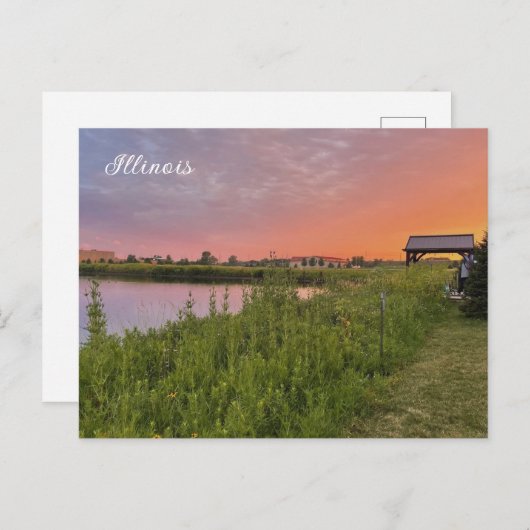 Illinois Field Briefkaart (Voorkant / Achterkant)