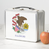 Illinois Flag (In situ)