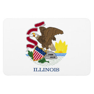 Illinois Flag Magneet