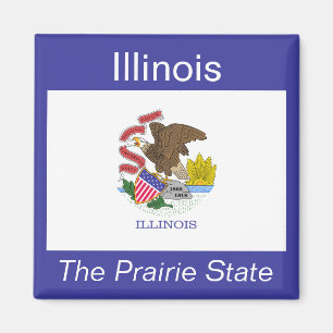 Illinois Flag Magnet