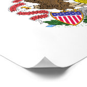 Illinois Flag Poster (Hoek)