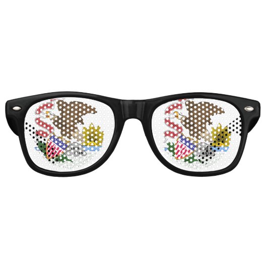 Illinois Flag Retro Zonnebril (Voorkant)