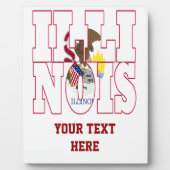 Illinois Fotoplaat (Voorkant)