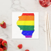 Illinois Gay Pride Vlag Servet (Insitu)