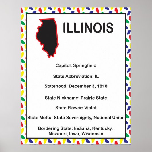 Illinois Information Educational US State Poster (Voorkant)