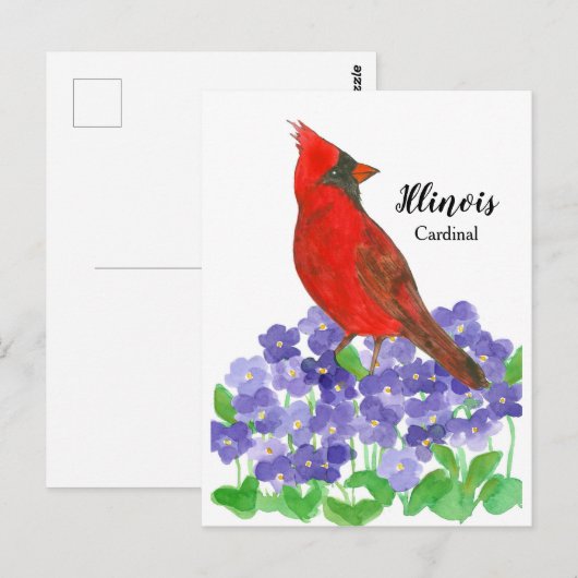 Illinois kardinaal Paarse houten viooltjes Briefkaart (Voorkant / Achterkant)