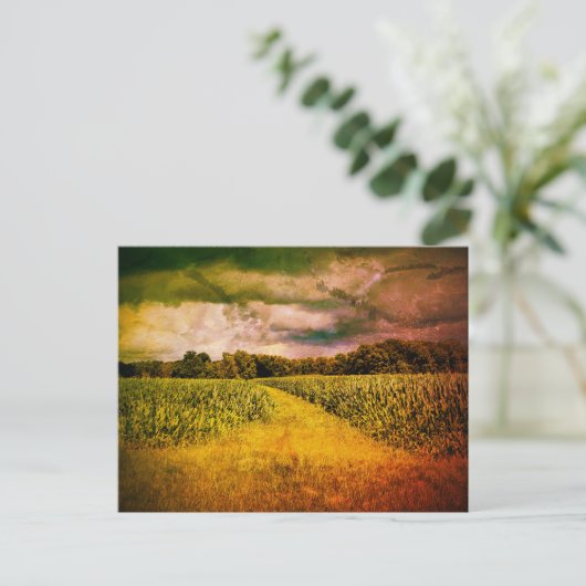 Illinois Landschapsfoto Briefkaart (Staand voorkant)