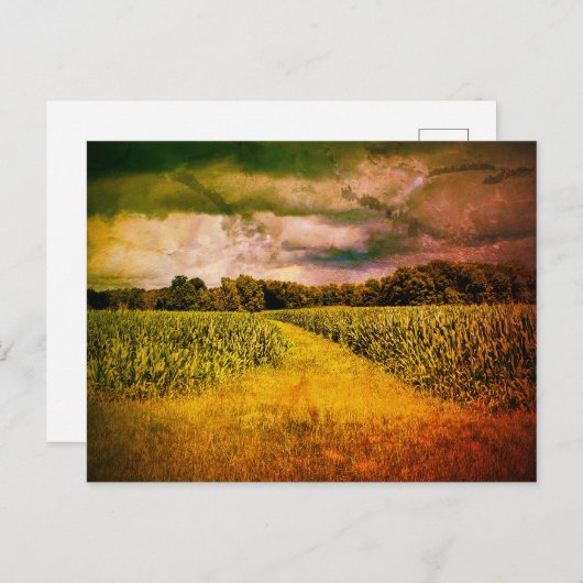 Illinois Landschapsfoto Briefkaart (Voorkant / Achterkant)