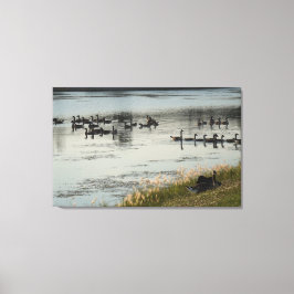 Illinois living canvas afdruk