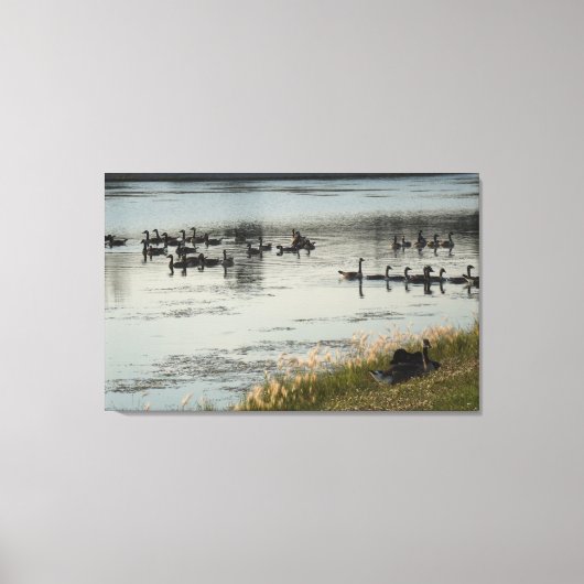 Illinois living canvas afdruk (Voorkant)