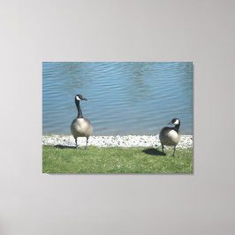 Illinois living canvas afdruk