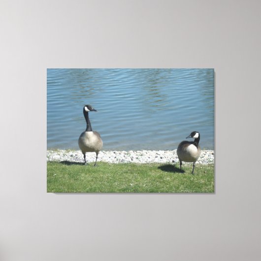 Illinois living canvas afdruk (Voorkant)