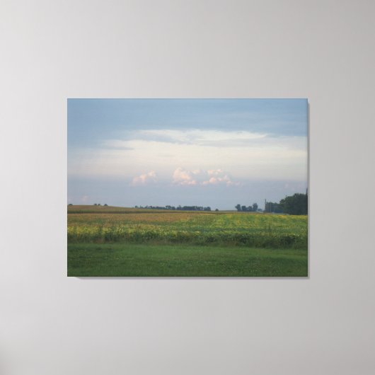 Illinois living canvas afdruk (Voorkant)