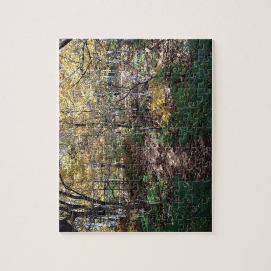 Illinois Natuur Scene Legpuzzel (Verticaal)