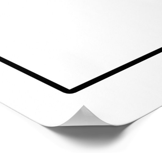 Illinois Poster (Hoek)