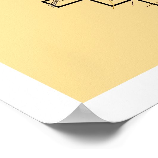 Illinois Railroad Map 1897 Poster (Hoek)