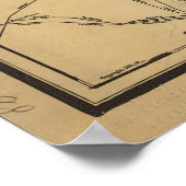  Illinois Railroad Map (1897) Poster (Hoek)