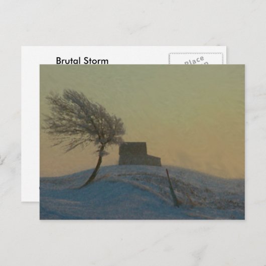 Illinois Snow Storm Briefkaart (Voorkant / Achterkant)