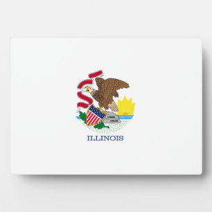 Illinois Staatsvlagontwerp Fotoplaat