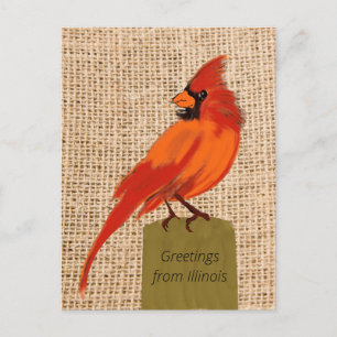 Illinois State Bird Briefkaart