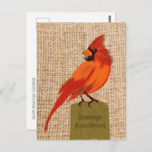 Illinois State Bird Briefkaart (Voorkant / Achterkant)