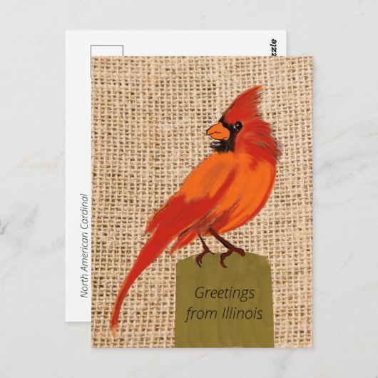 Illinois State Bird Briefkaart (Voorkant / Achterkant)